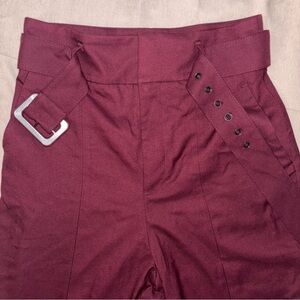 Zara Burgundy Straight Leg Pants